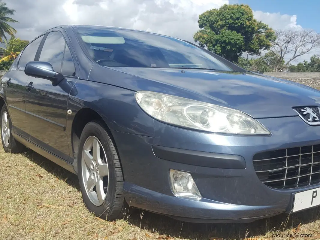 Peugeot 407 407 1.6 HDI Executive 3