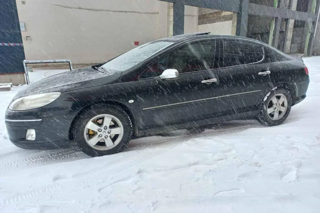 Peugeot 407 407 1.6 HDI Executive 5