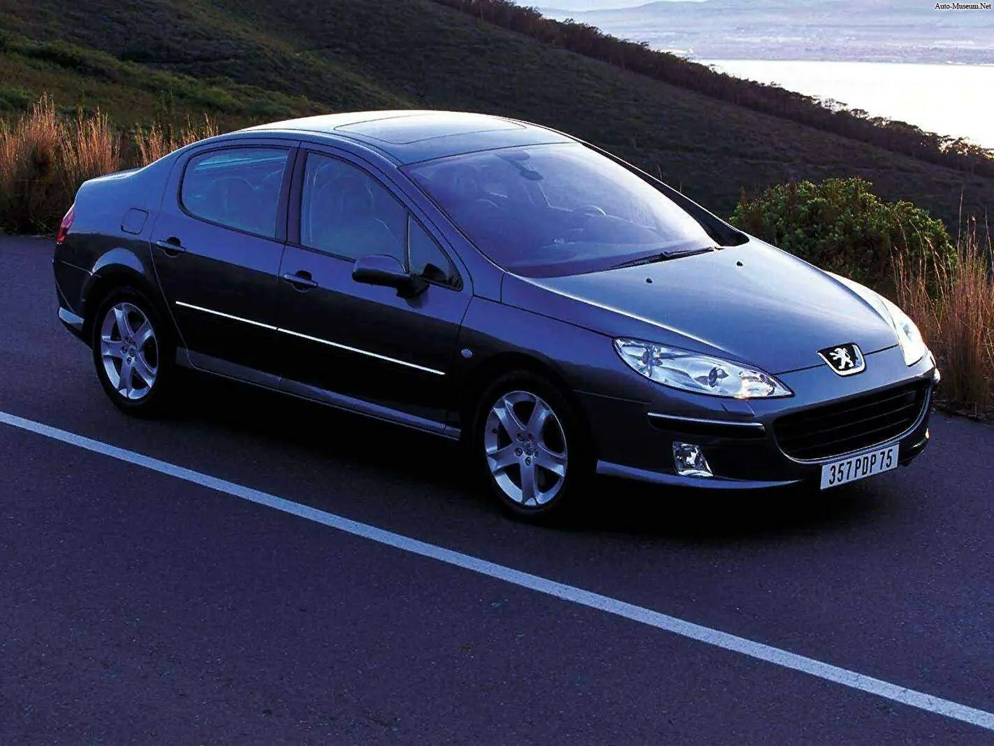 Peugeot 407 407 1.6 HDI Millesim 1