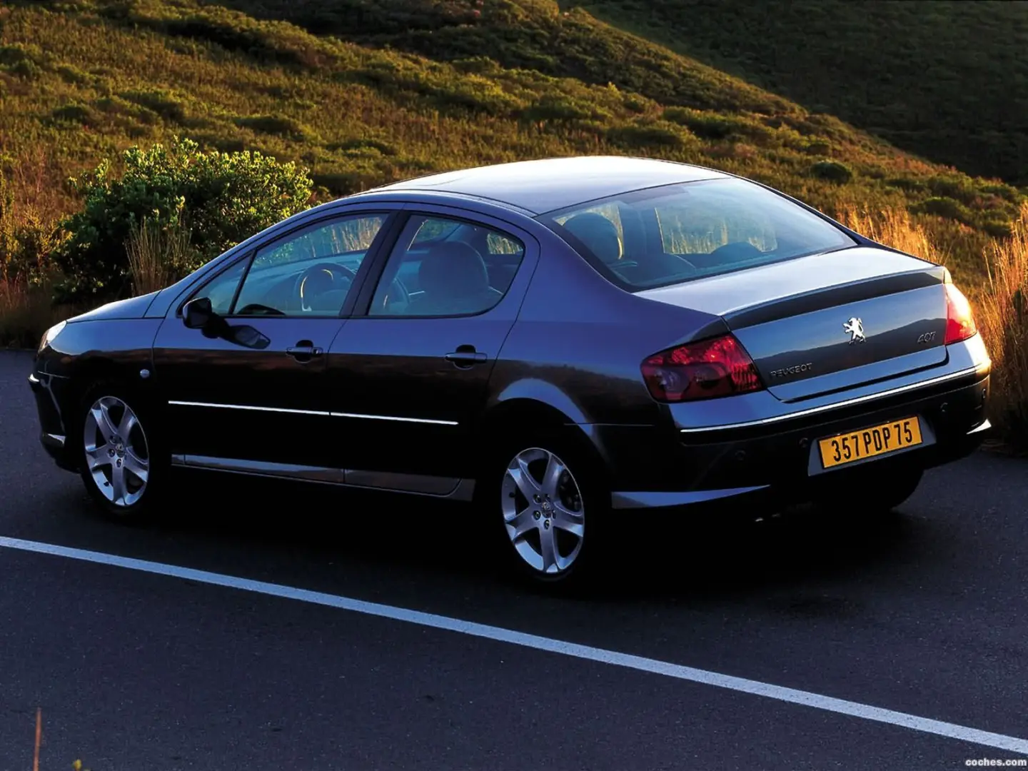 Peugeot 407 407 1.6 HDI Premium Edition 6