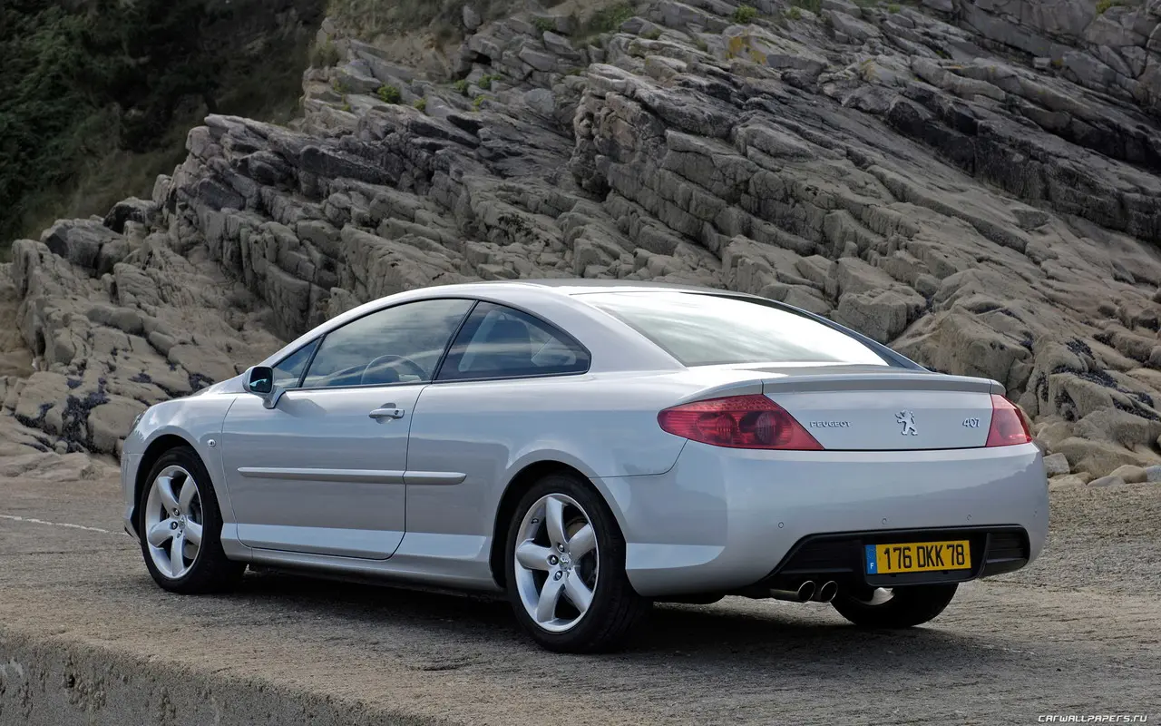 Peugeot 407 407 2.0 HDI Base 7