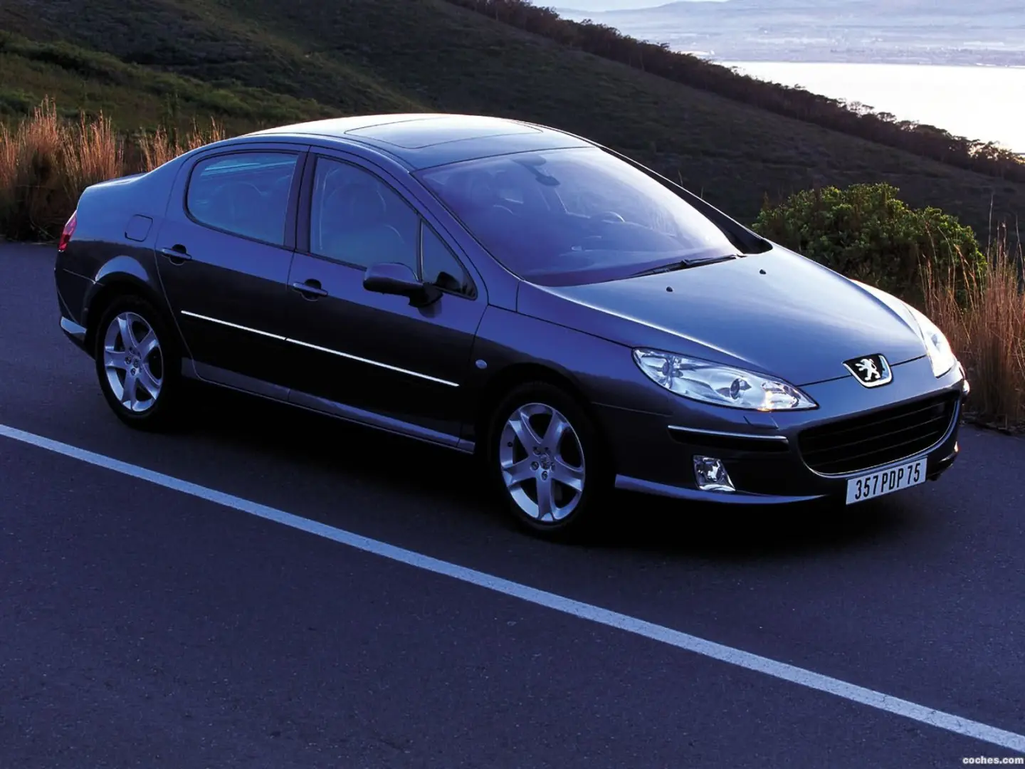 Peugeot 407 407 1.6 HDI Premium Edition 4