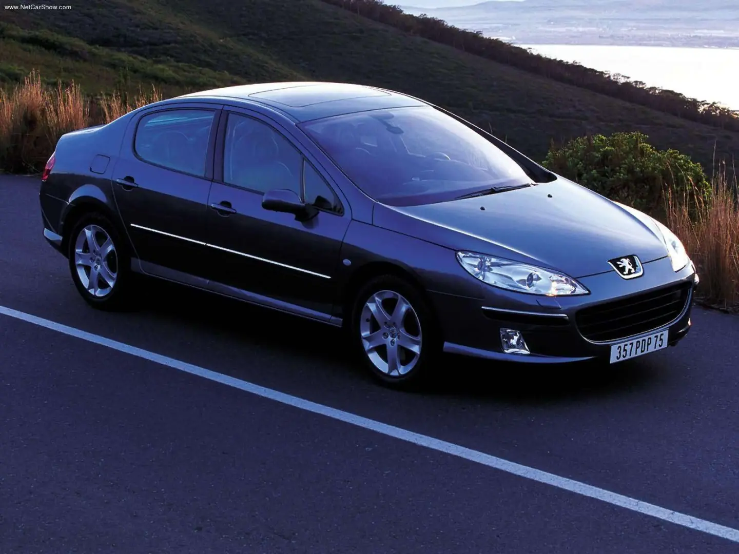 Peugeot 407 407 2.2 Executive 6