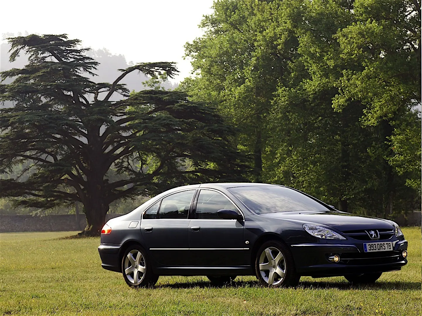 Peugeot 607 607 2.2 Executive 5