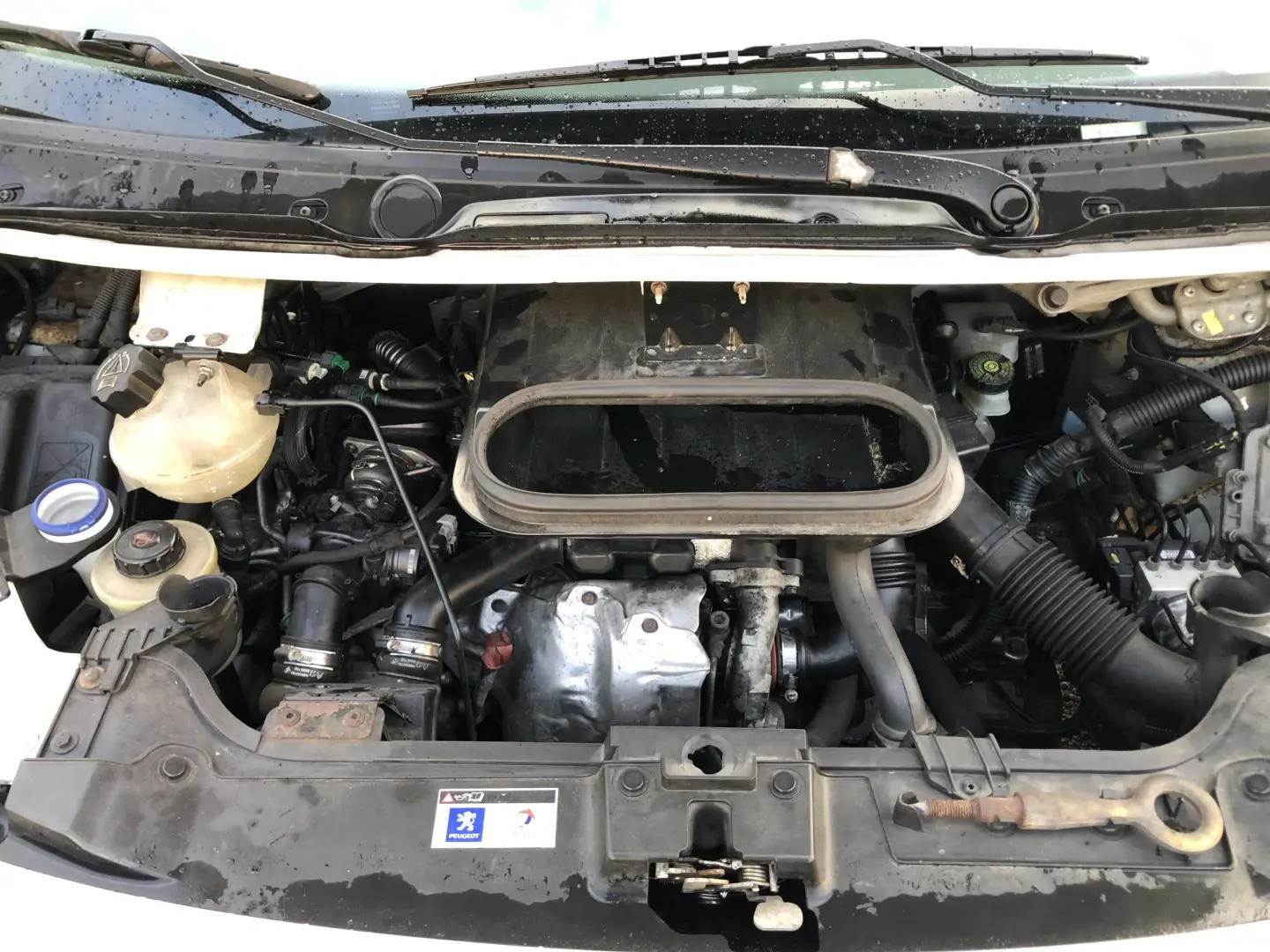 Peugeot Expert Expert 1.6 HDI 229 L1H1 3
