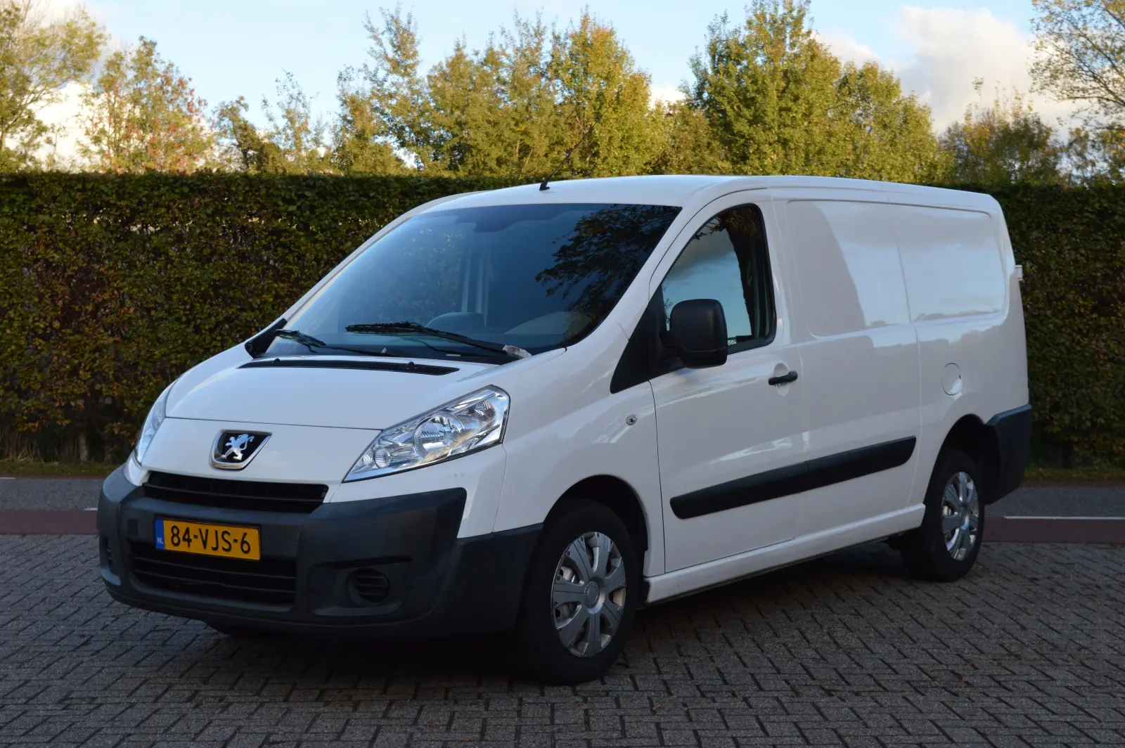 Peugeot Expert Expert 1.6 HDI 229 L2H1 0