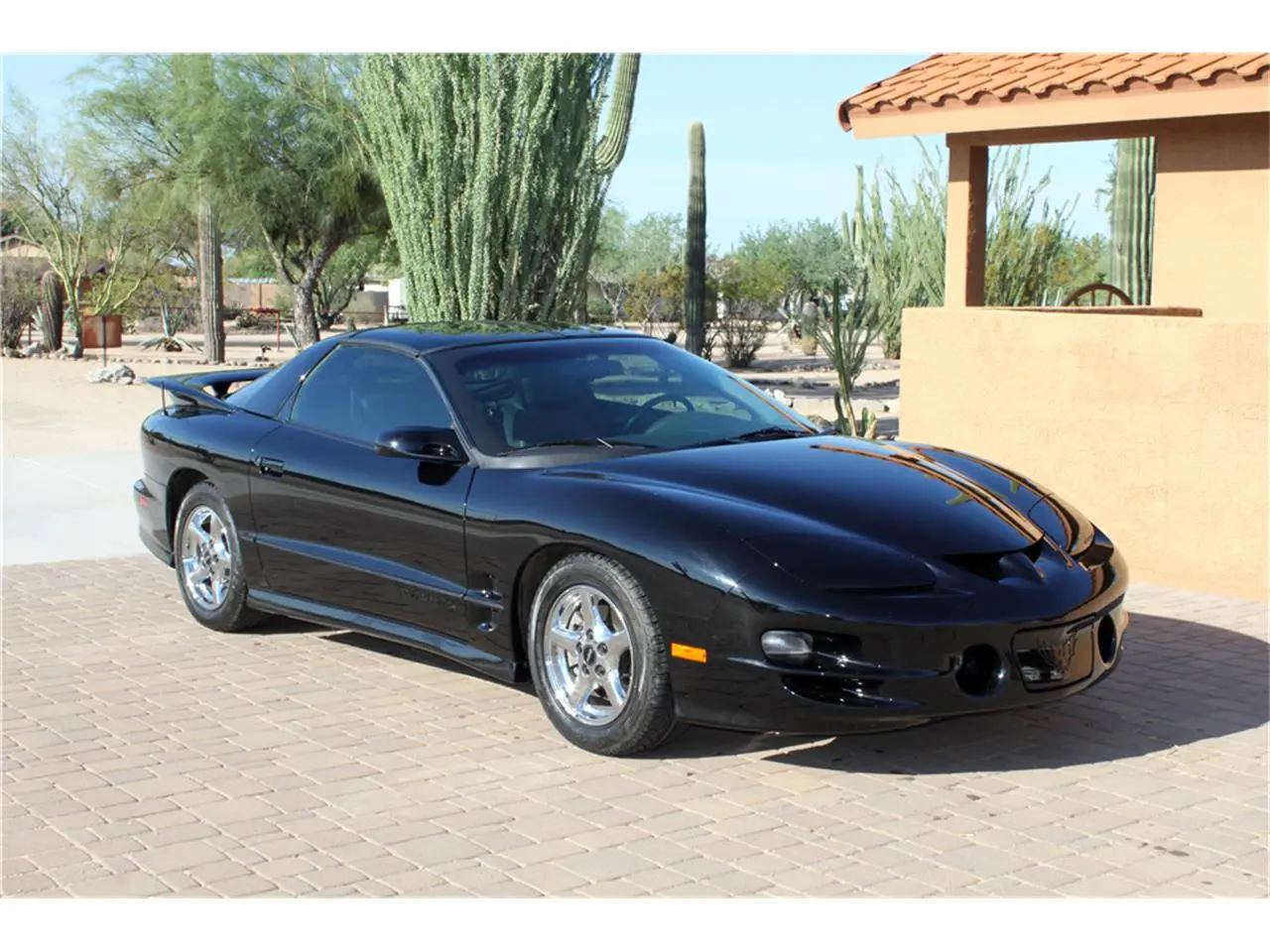 Pontiac Firebird Firebird 5.7 V8 Trans Am 3