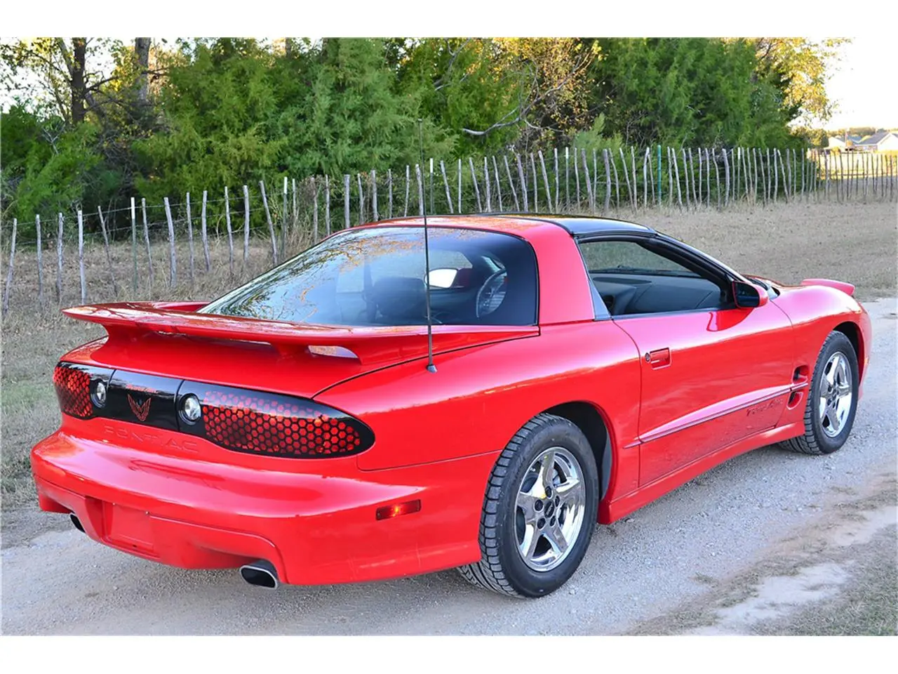 Pontiac Firebird Firebird 5.7 V8 Trans Am 5