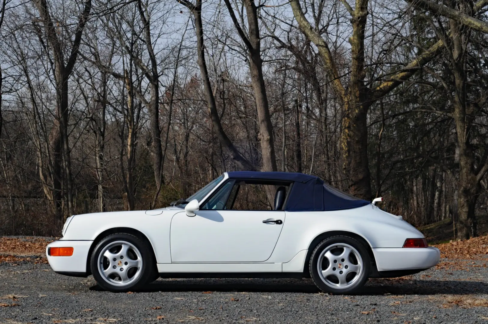 Porsche 911 911 Carrera Cabrio 0