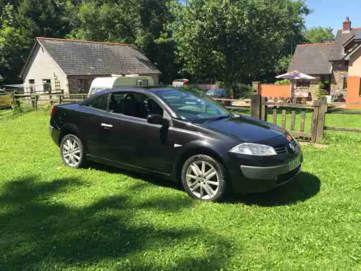 Renault Megane Megane 2.0 Turbo Dynamique 5