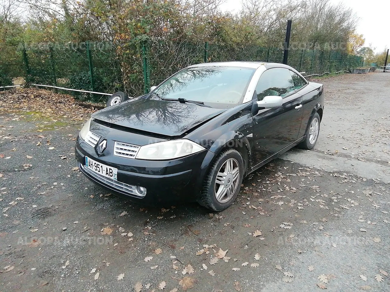Renault Megane Megane CC 1.9 DCI Privilege 3
