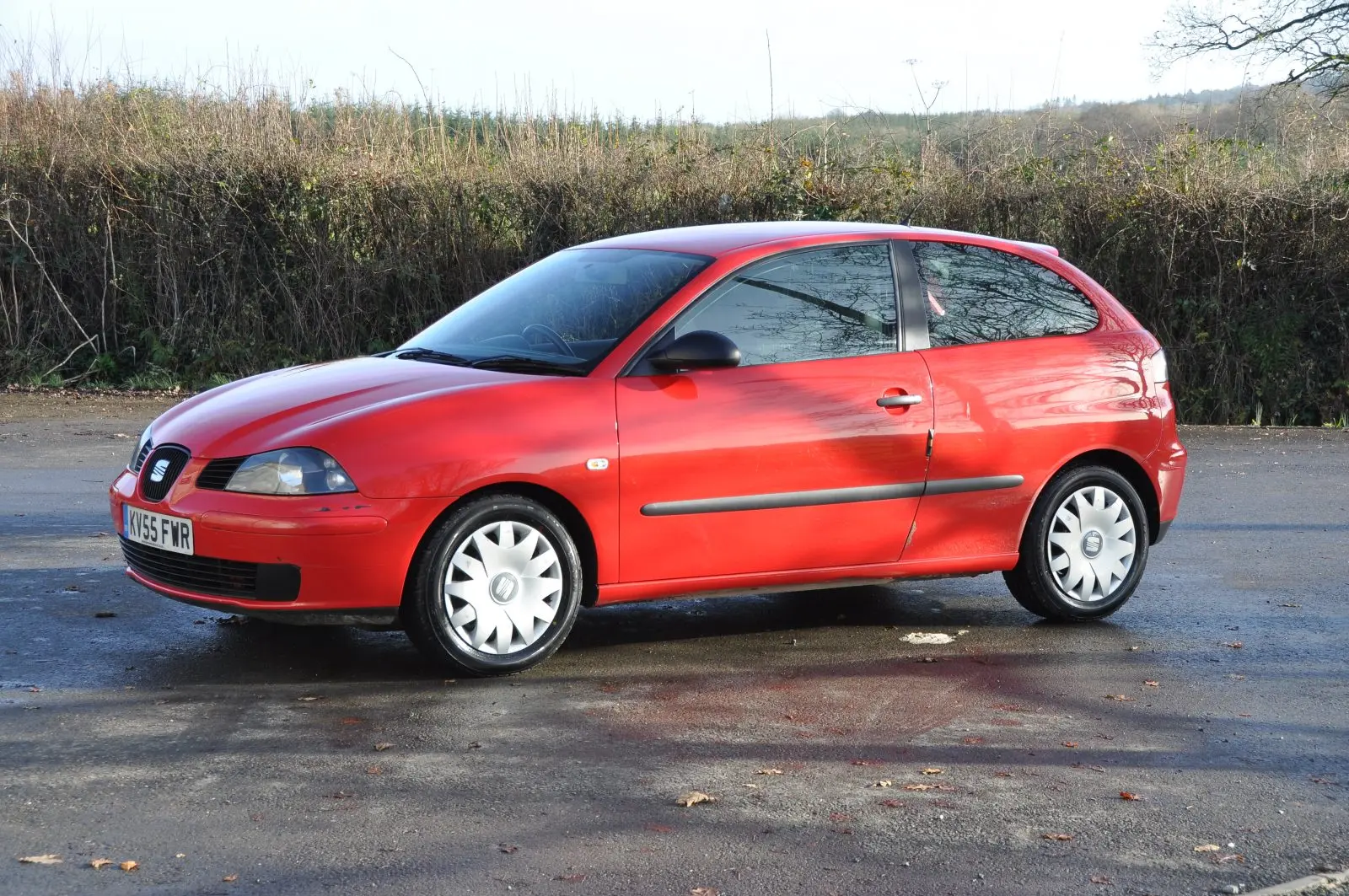 Seat Ibiza Ibiza 1.4 TDI Referance 4