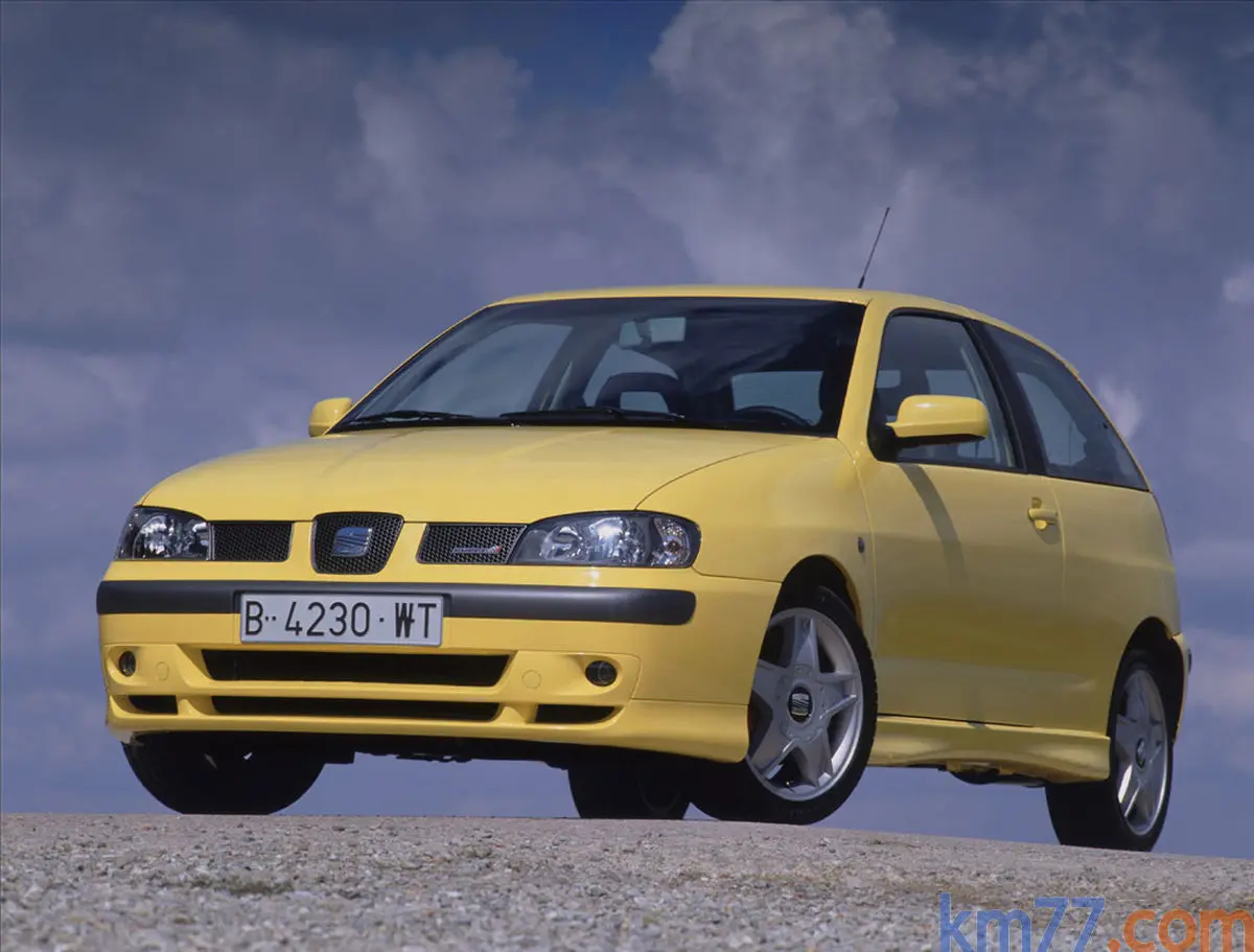 Seat Ibiza Ibiza 1.8 Turbo 20V Cupra 4