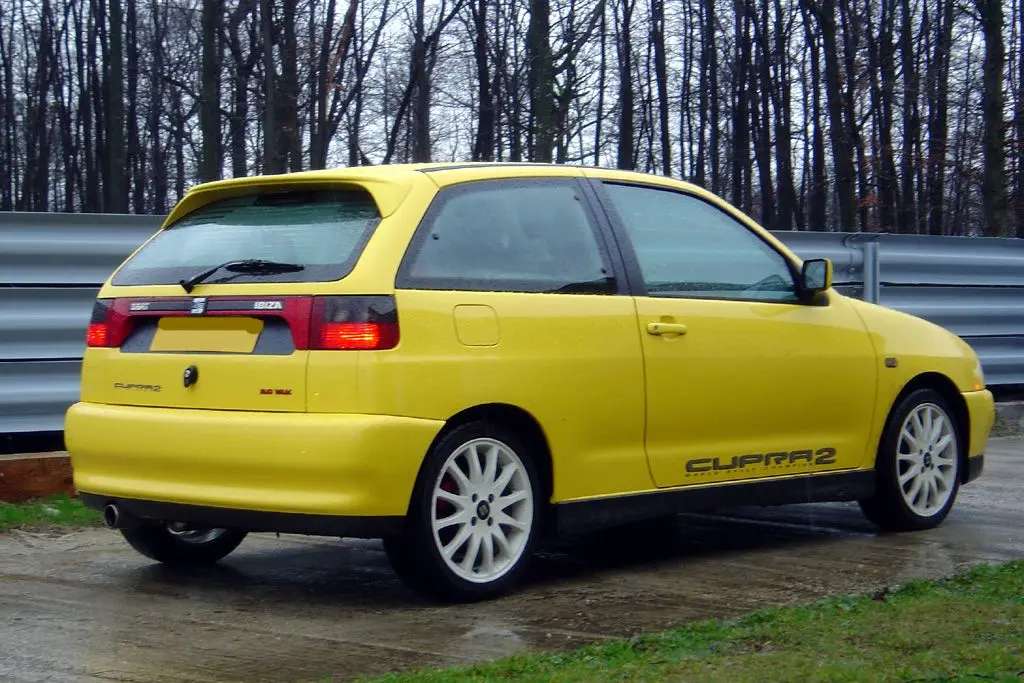 Seat Ibiza Ibiza 1.8 Turbo 20V Cupra 5
