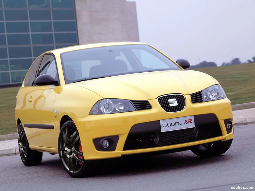 Seat Ibiza Ibiza 1.9 TDI Cupra 1