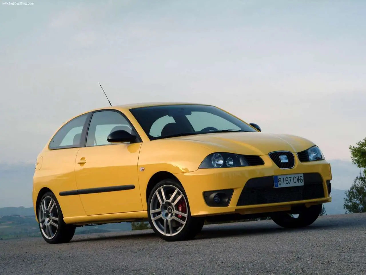 Seat Ibiza Ibiza 1.9 TDI FR 5