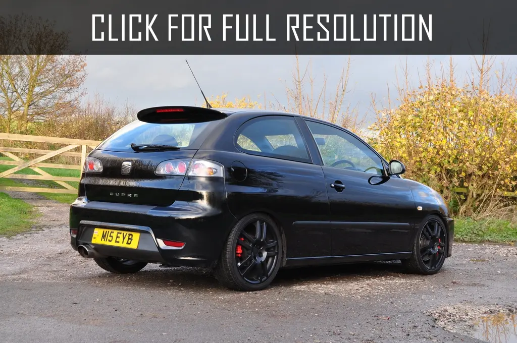 Seat Ibiza Ibiza 1.9 TDI Cupra 4
