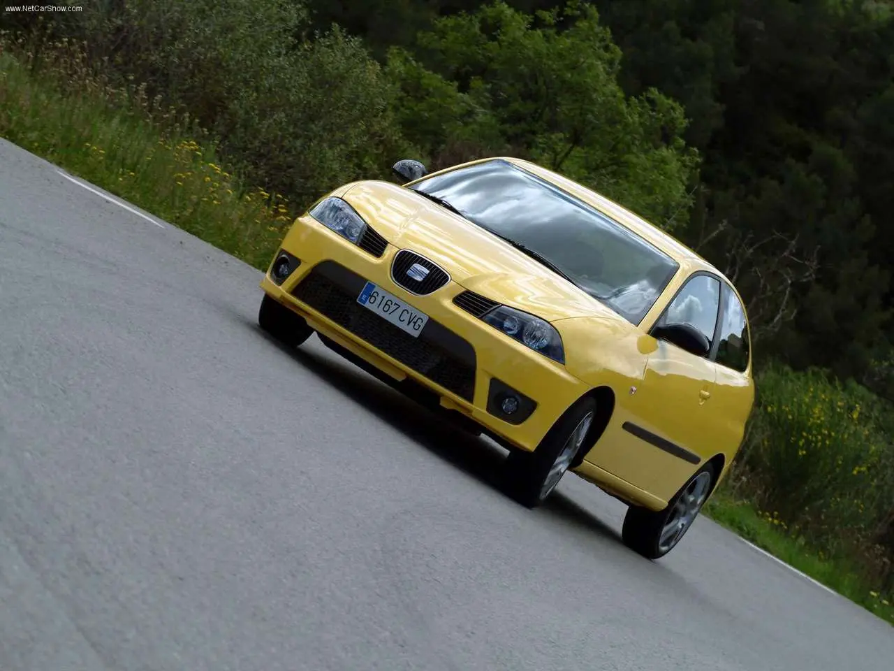 Seat Ibiza Ibiza 1.9 TDI Cupra 6