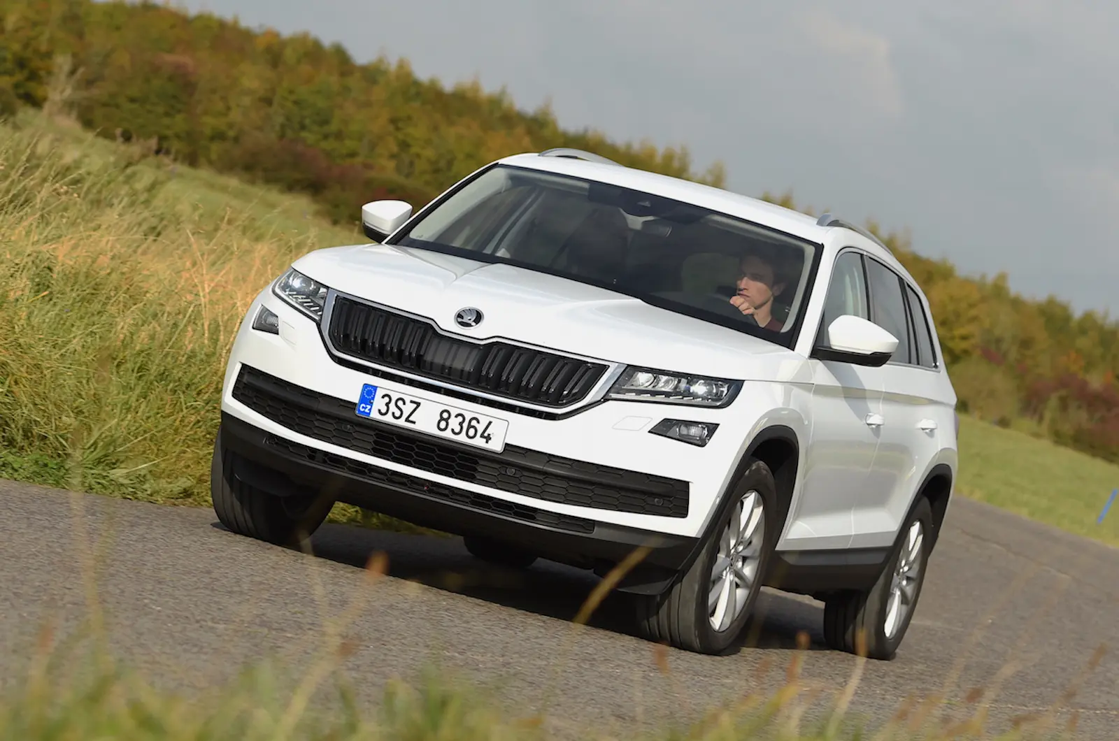 Skoda Kodiaq Kodiaq 2.0 TDI GreenTec 4x4 Prestige DSG 1