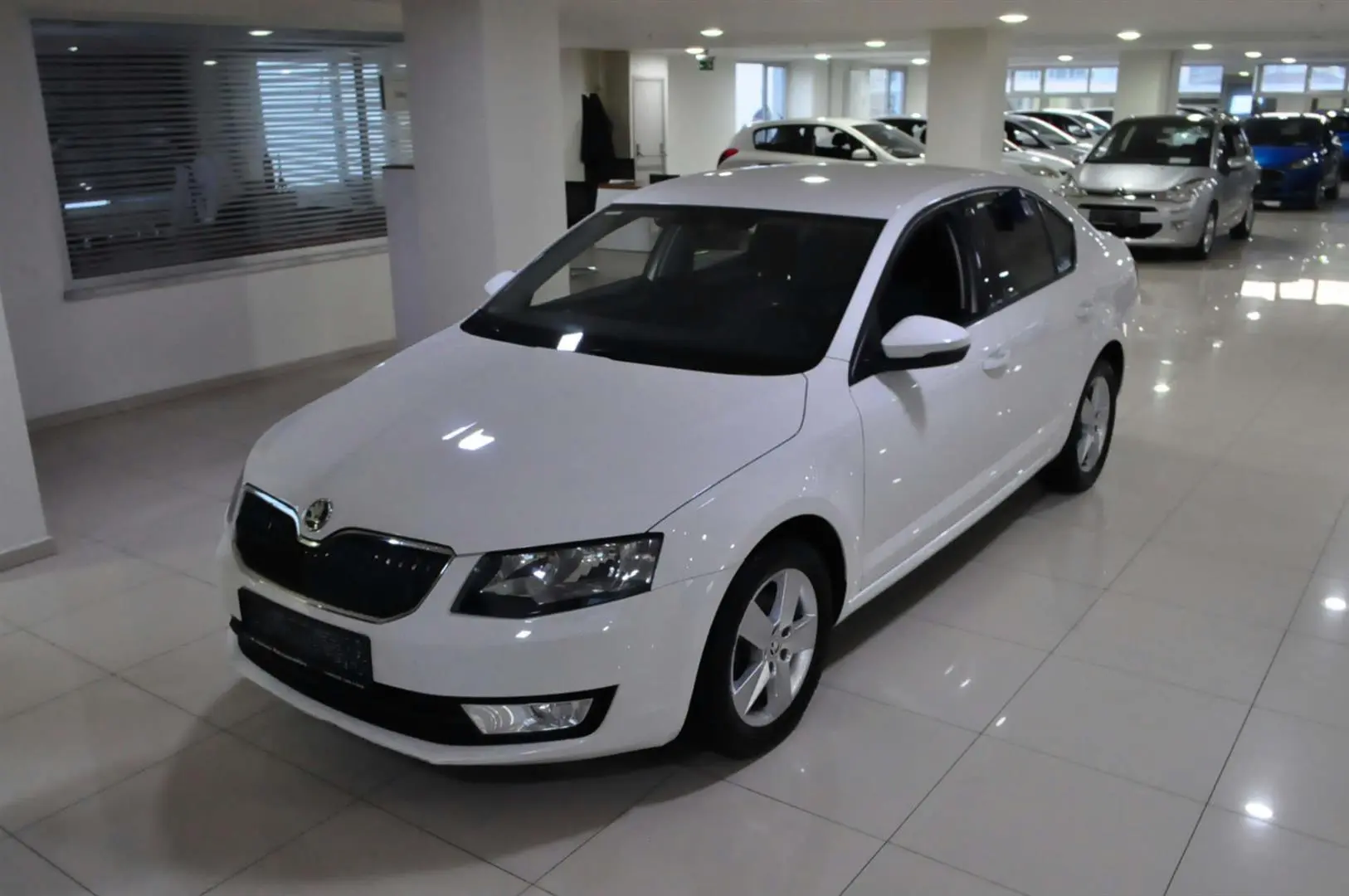 Skoda Octavia Octavia 1.6 TDI GreenTec Optimal DSG 2