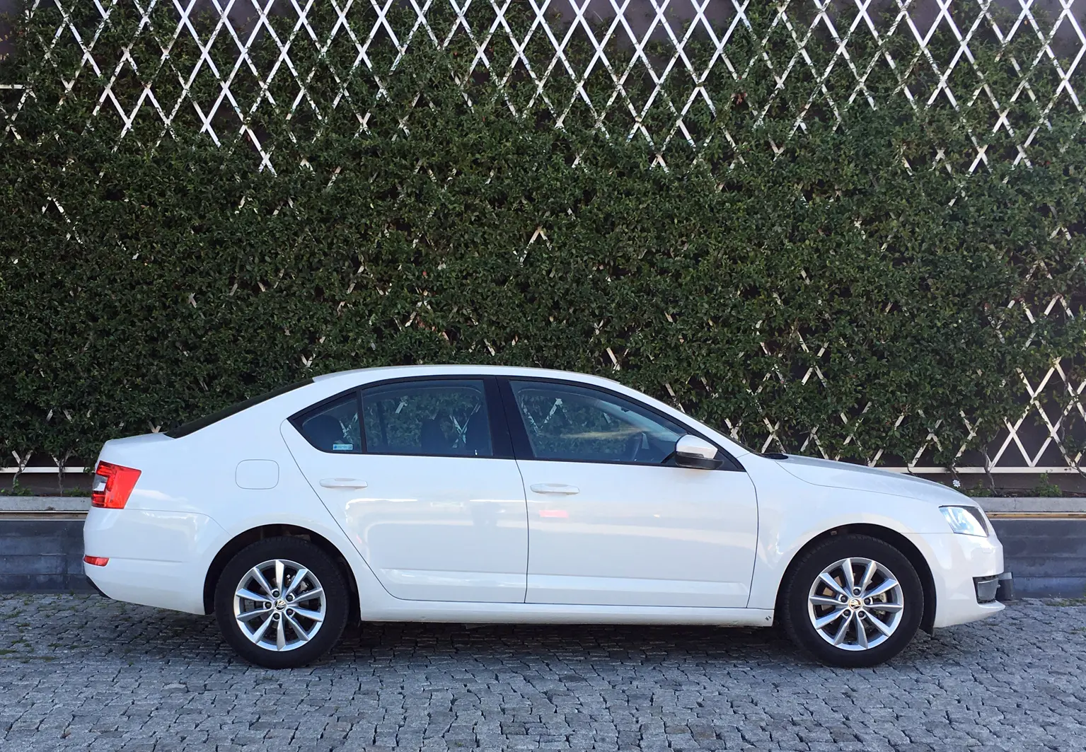 Skoda Octavia Octavia 1.6 TDI GreenTec Style 1