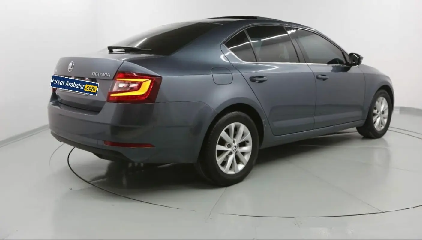 Skoda Octavia Octavia 1.6 TDI GreenTec 4x4 Style 5