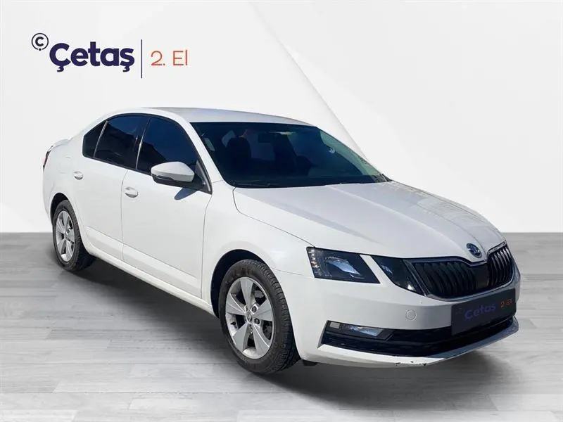Skoda Octavia Octavia 1.6 TDI GreenTec Style DSG 4