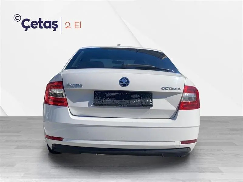 Skoda Octavia Octavia 1.6 TDI GreenTec Style DSG 5