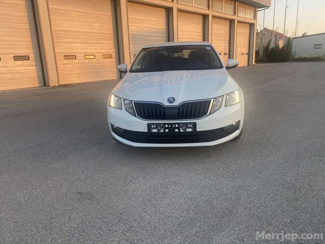 Skoda Octavia Octavia 1.6 TDI Optimal DSG 5