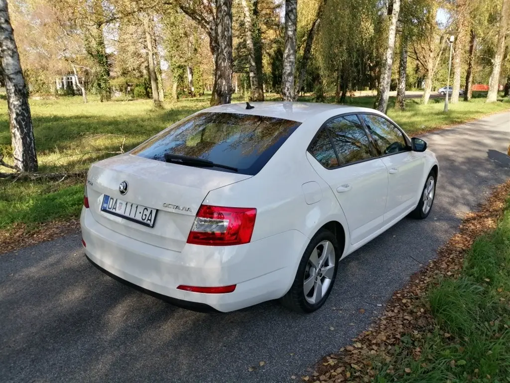 Skoda Octavia Octavia 2.0 PD TDI DPF Elegance 7