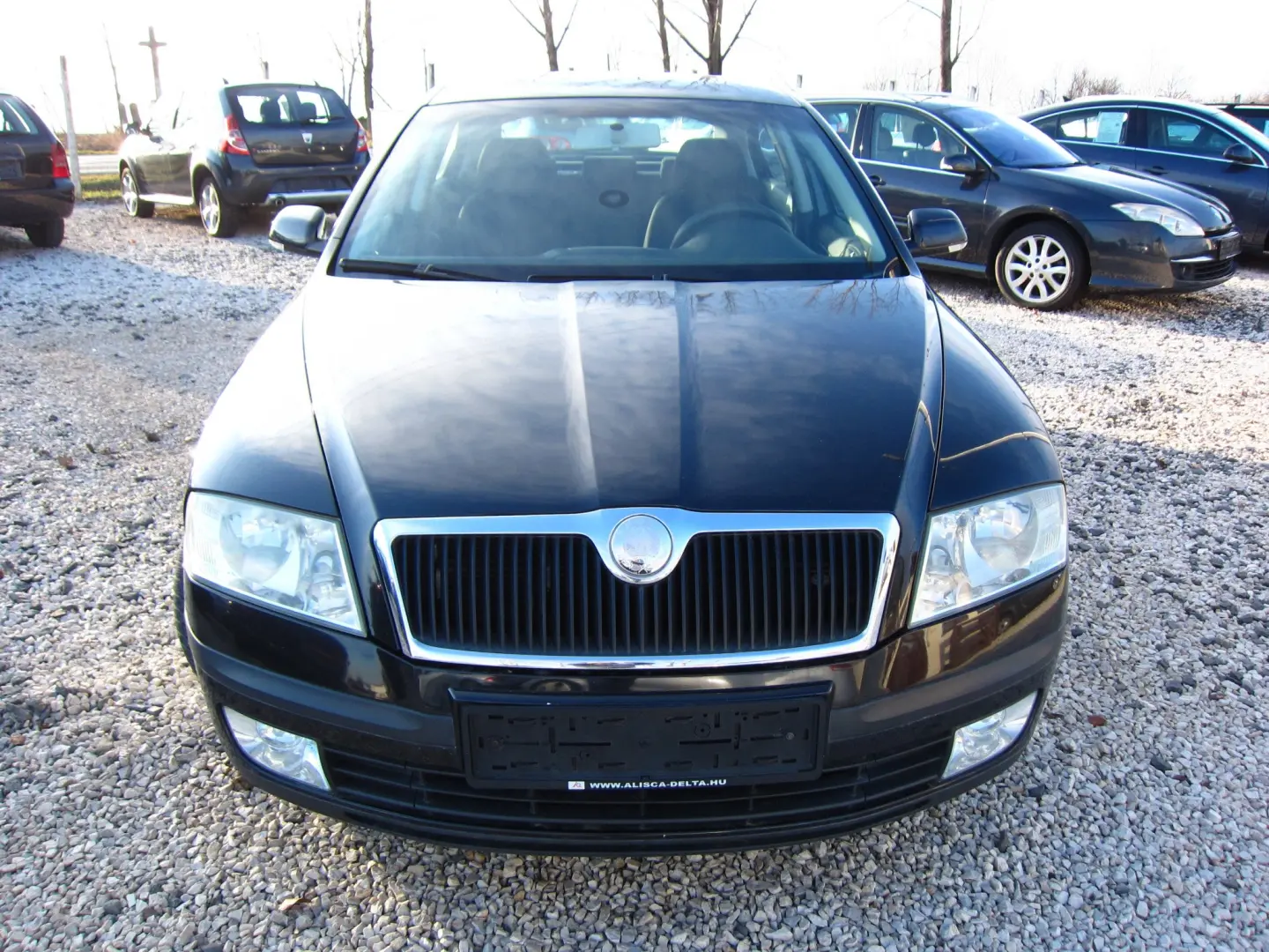 Skoda Octavia Octavia 2.0 PD TDI DPF Elegance 6