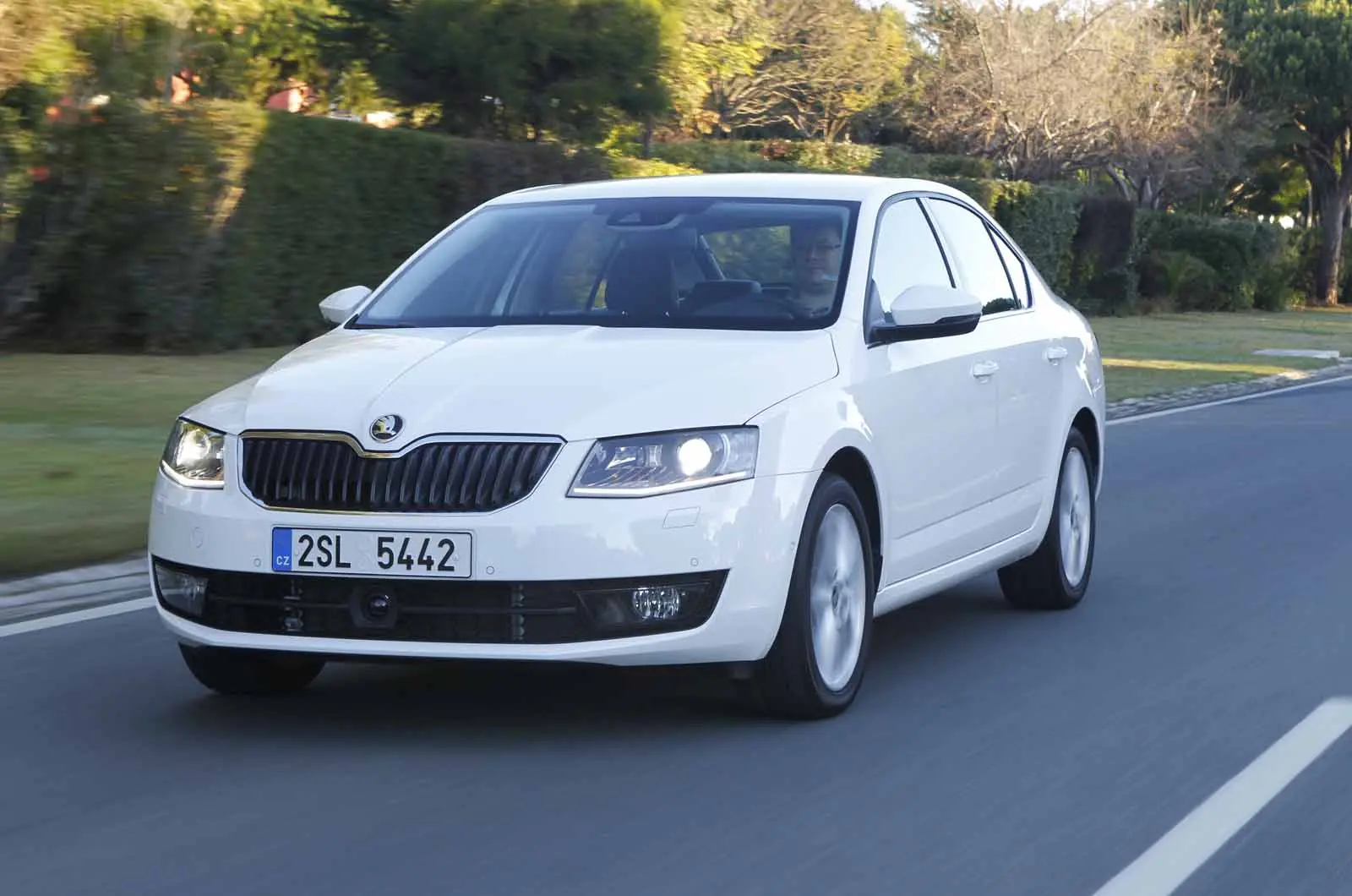 Skoda Octavia Octavia 2.0 Elegance 0