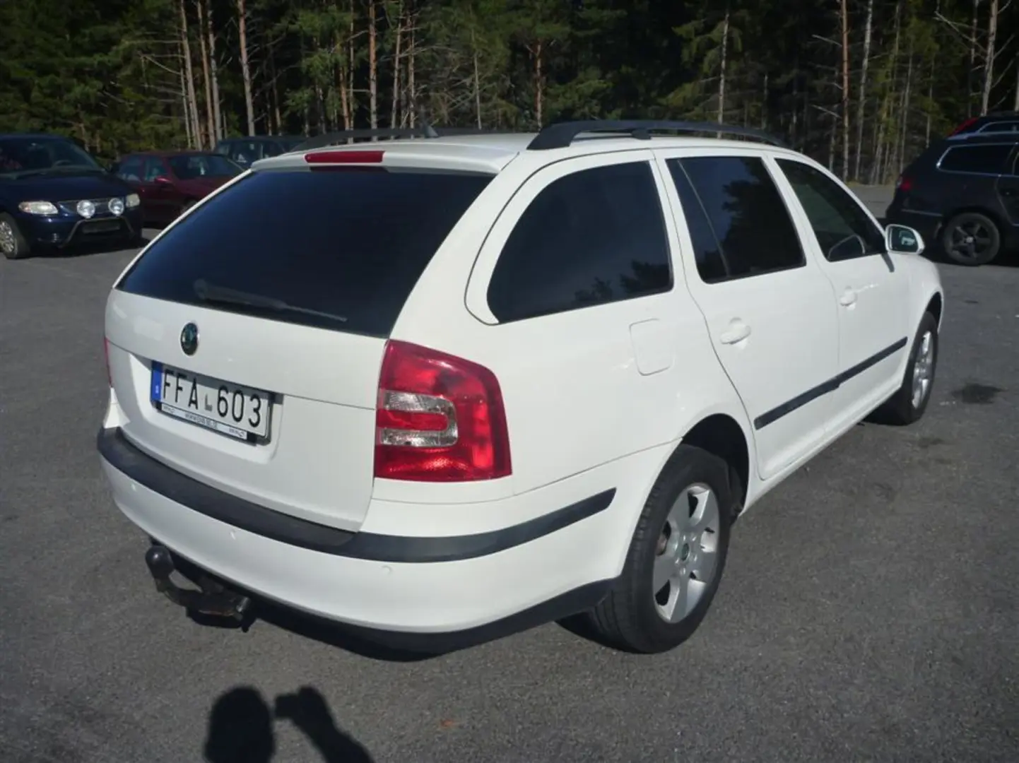 Skoda Octavia Octavia Kombi 1.9 TDI DPF 4x4 Elegance 3