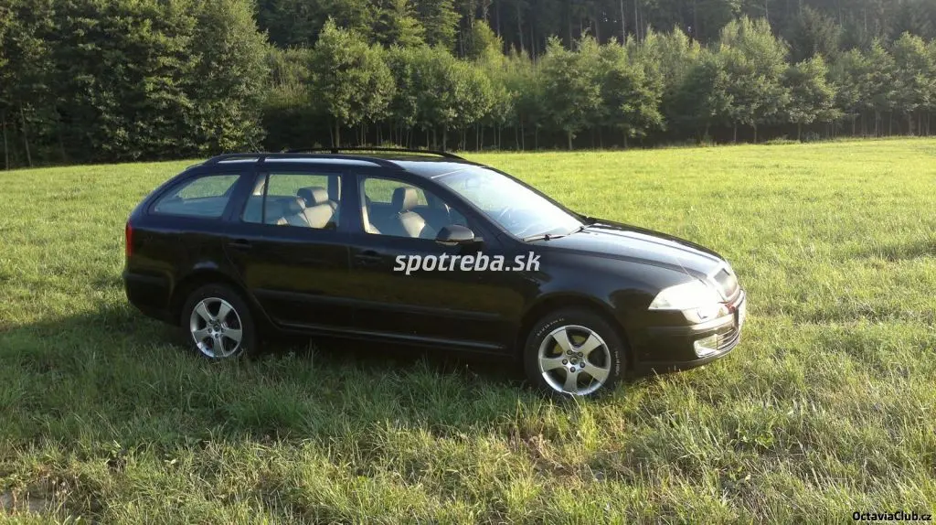 Skoda Octavia Octavia Kombi 2.0 FSI 4x4 Elegance 3