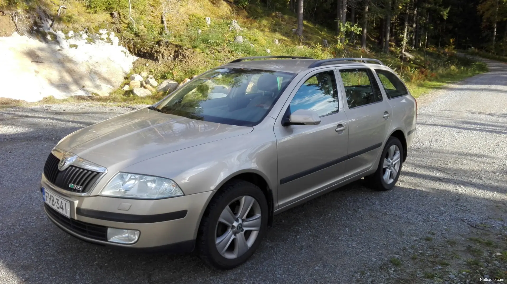 Skoda Octavia Octavia Kombi 2.0 FSI Elegance Tiptronic 4