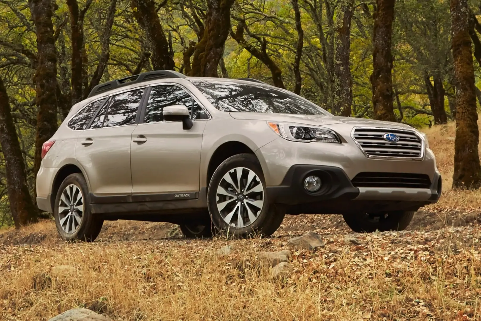 Subaru Outback Outback 2.0 D Limited CVT 5