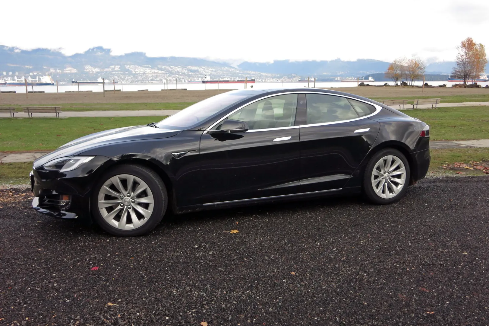 Tesla Model S Model S 100D 5
