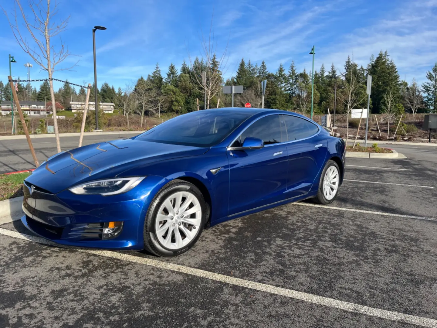 Tesla Model S Model S 75D 6