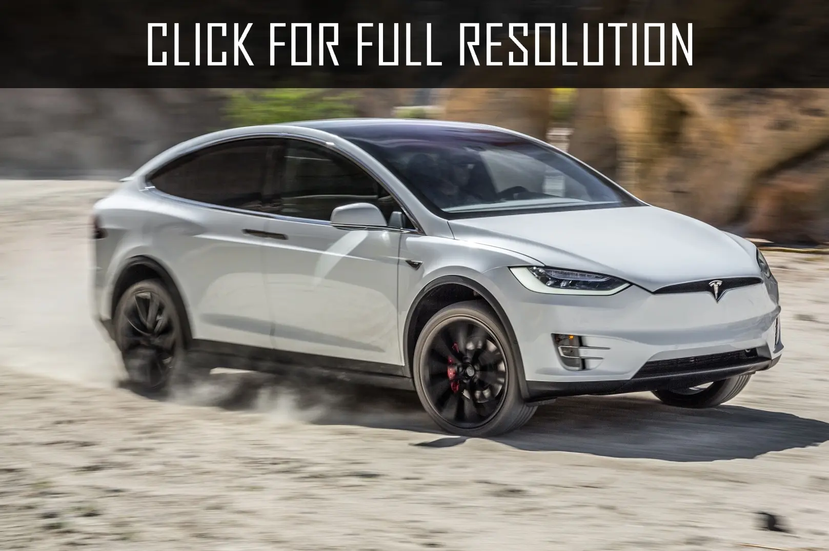 Tesla Model X Model X 100D 4