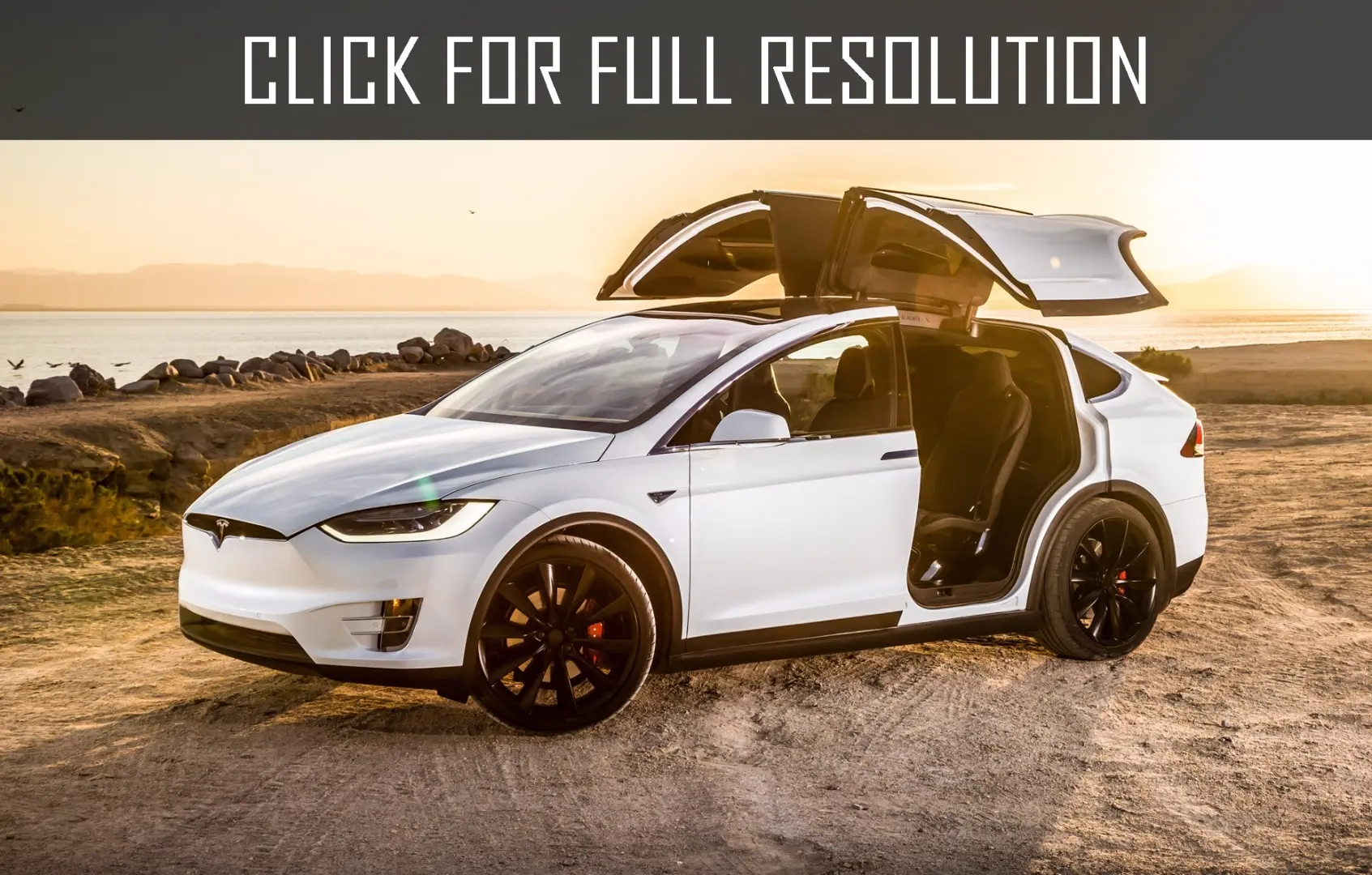 Tesla Model X Model X P100D 2