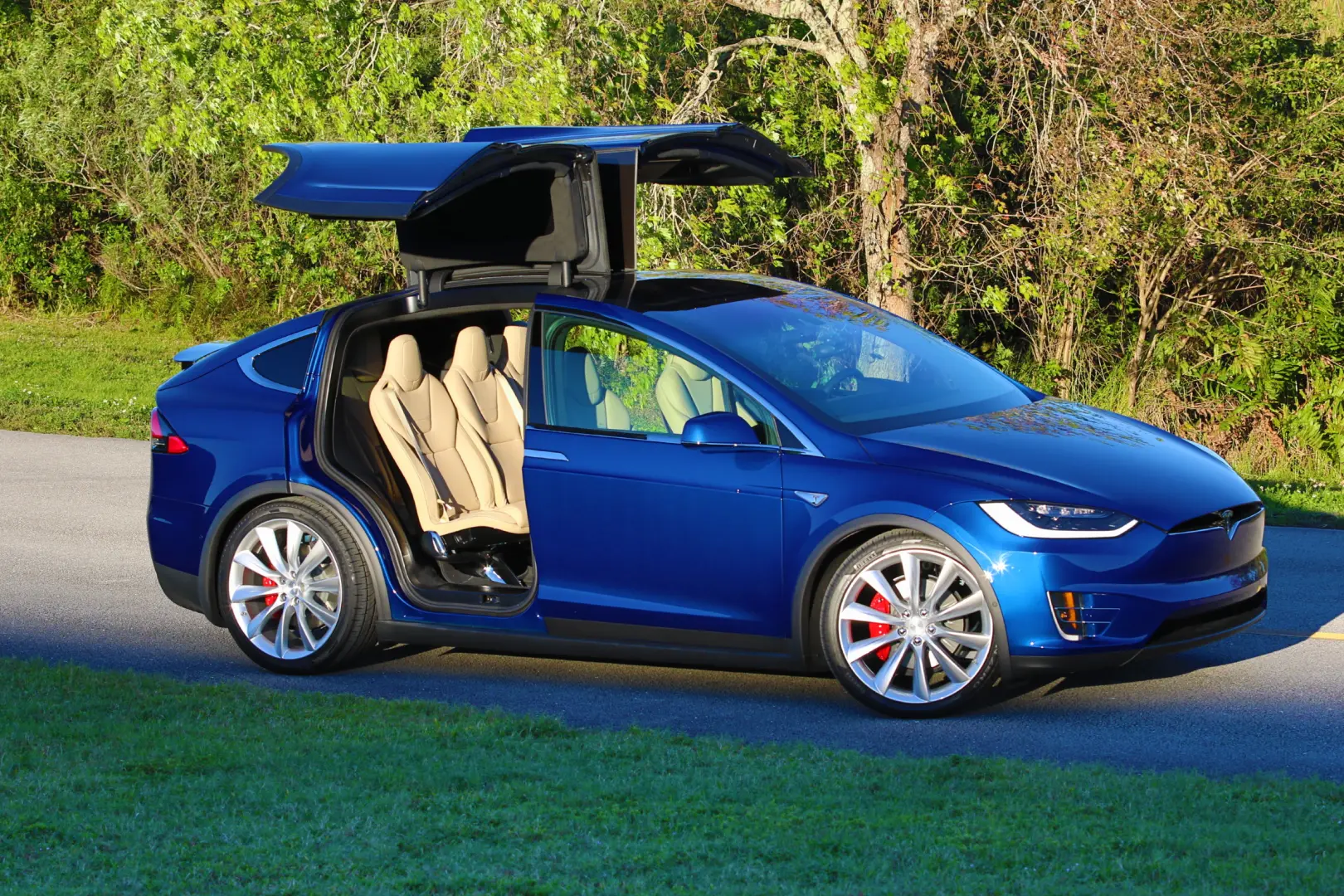 Tesla Model X Model X P90D 4