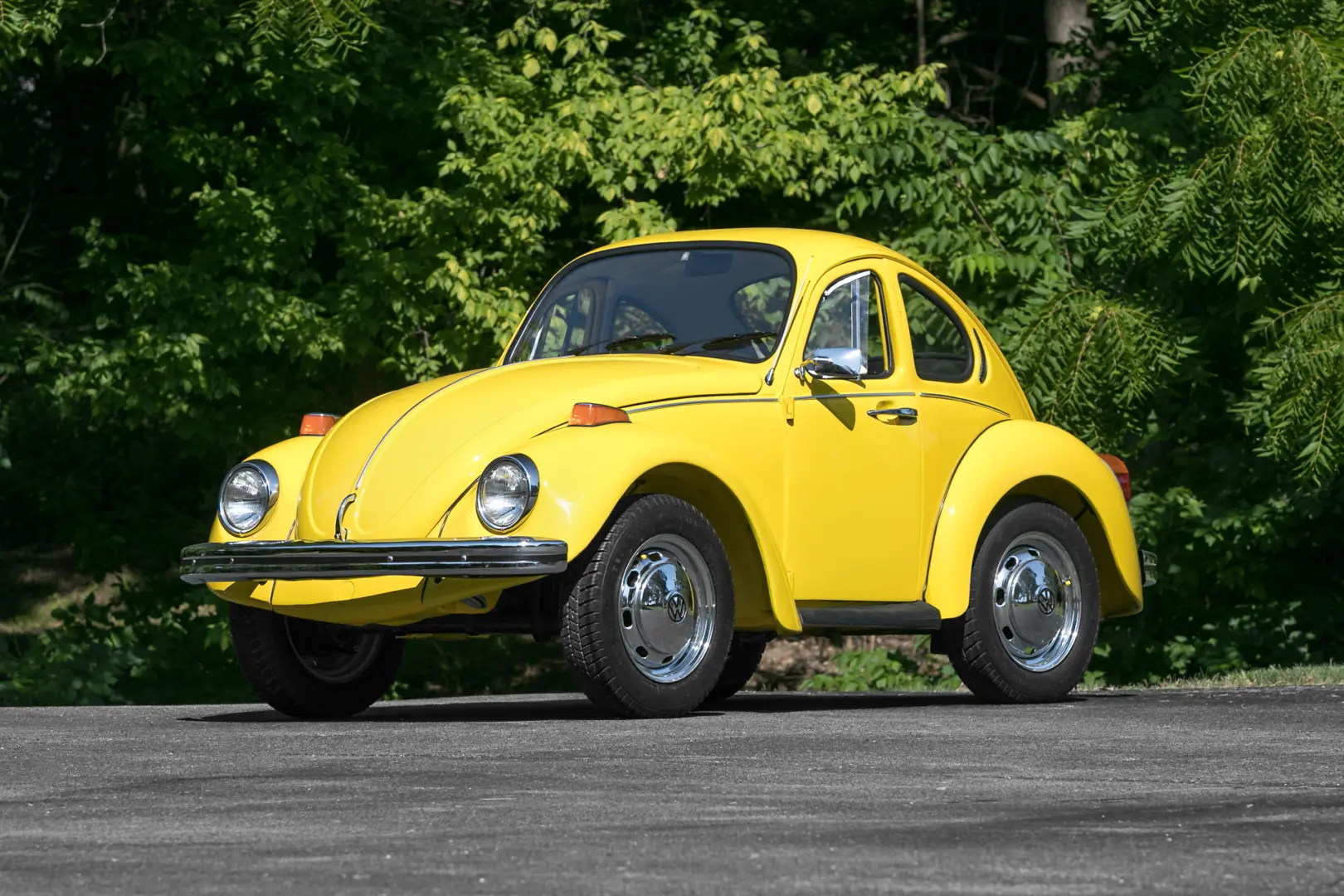 Volkswagen Beetle Beetle 1302 5
