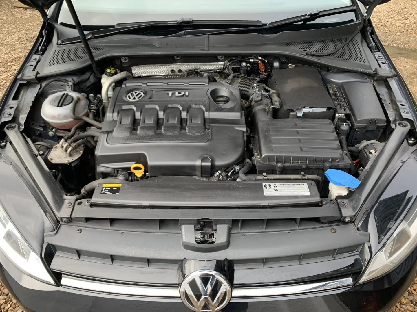 Volkswagen Golf Golf 1.6 D C 3