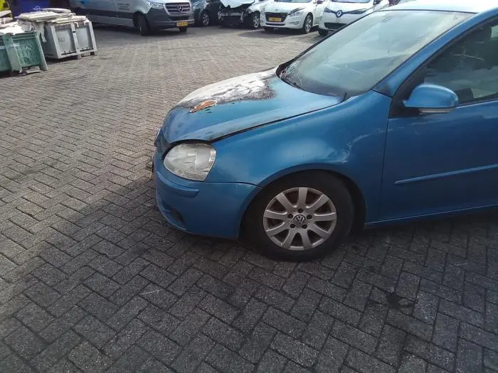 Volkswagen Golf Golf 1.6 FSI Primeline 4