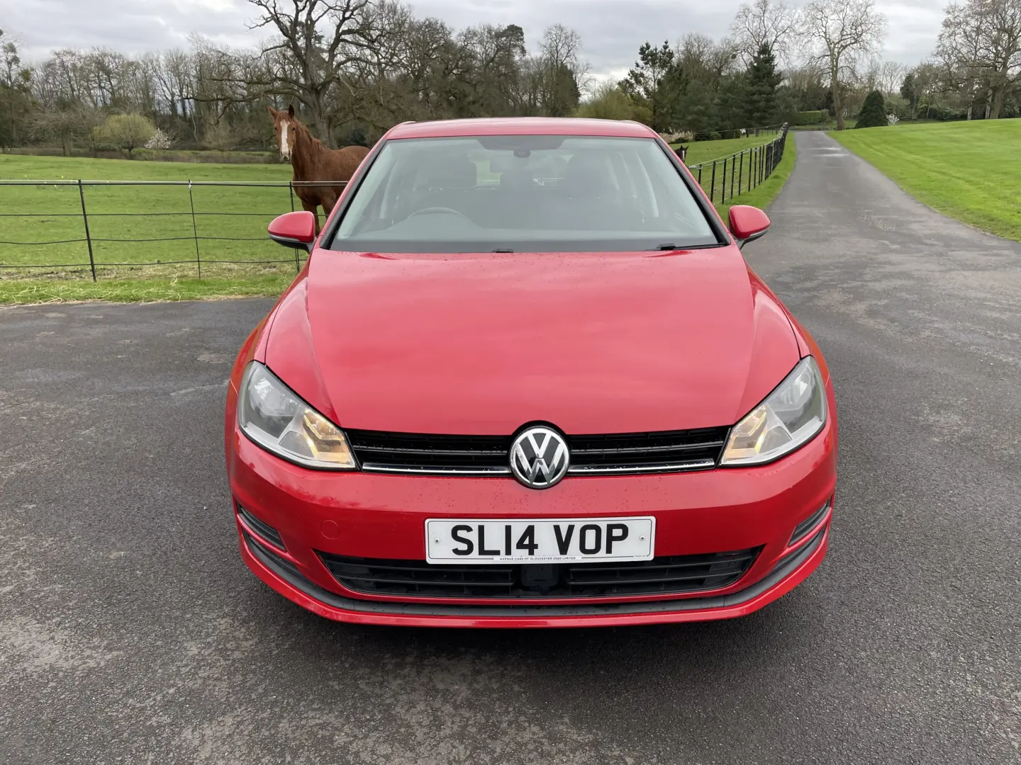 Volkswagen Golf Golf 1.6 TDI BlueMotion 3