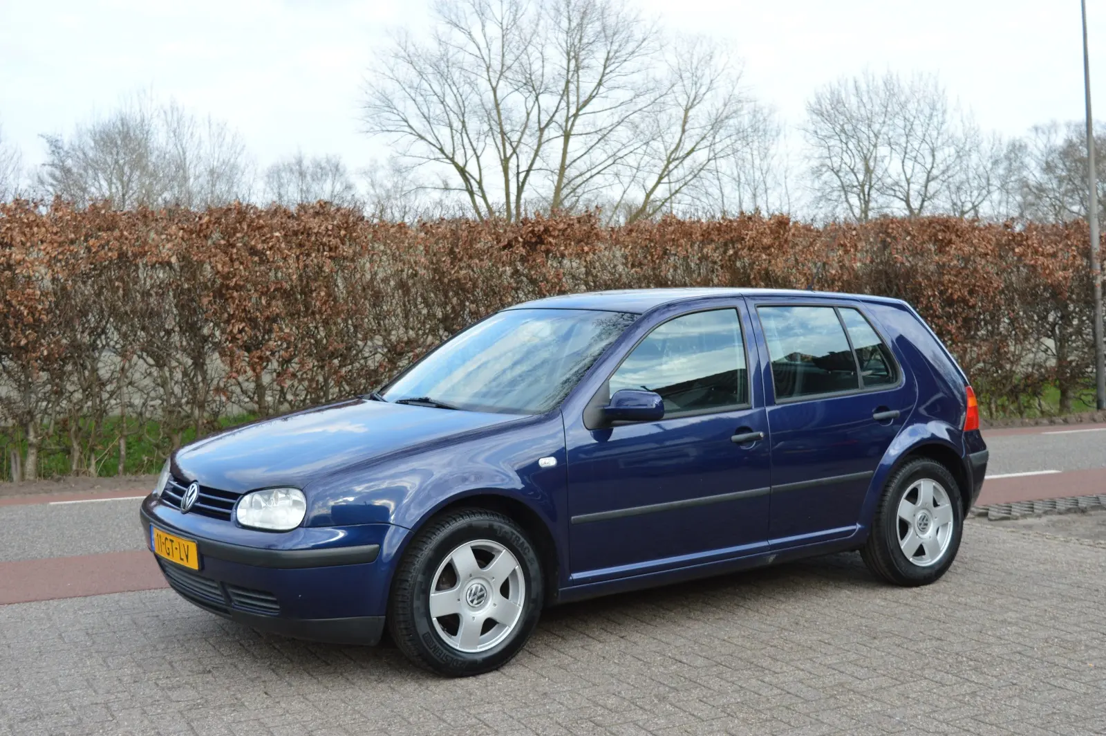 Volkswagen Golf Golf 1.6 Trendline 5