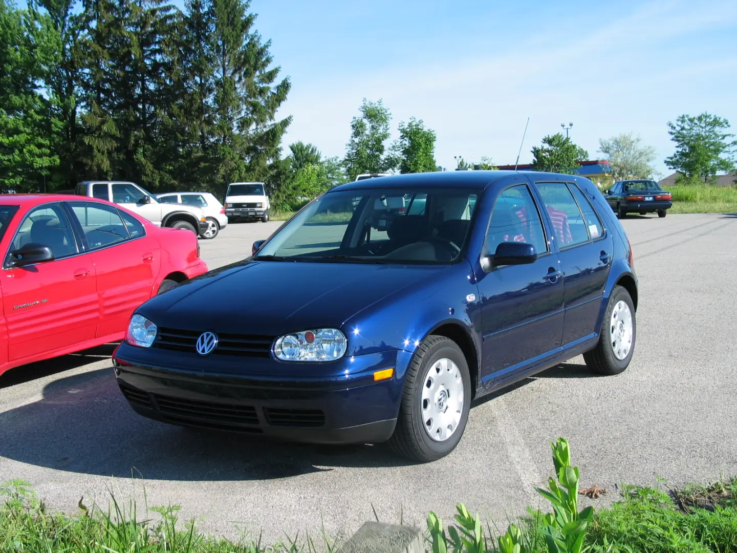 Volkswagen Golf Golf 1.9 TDI Pacific 3