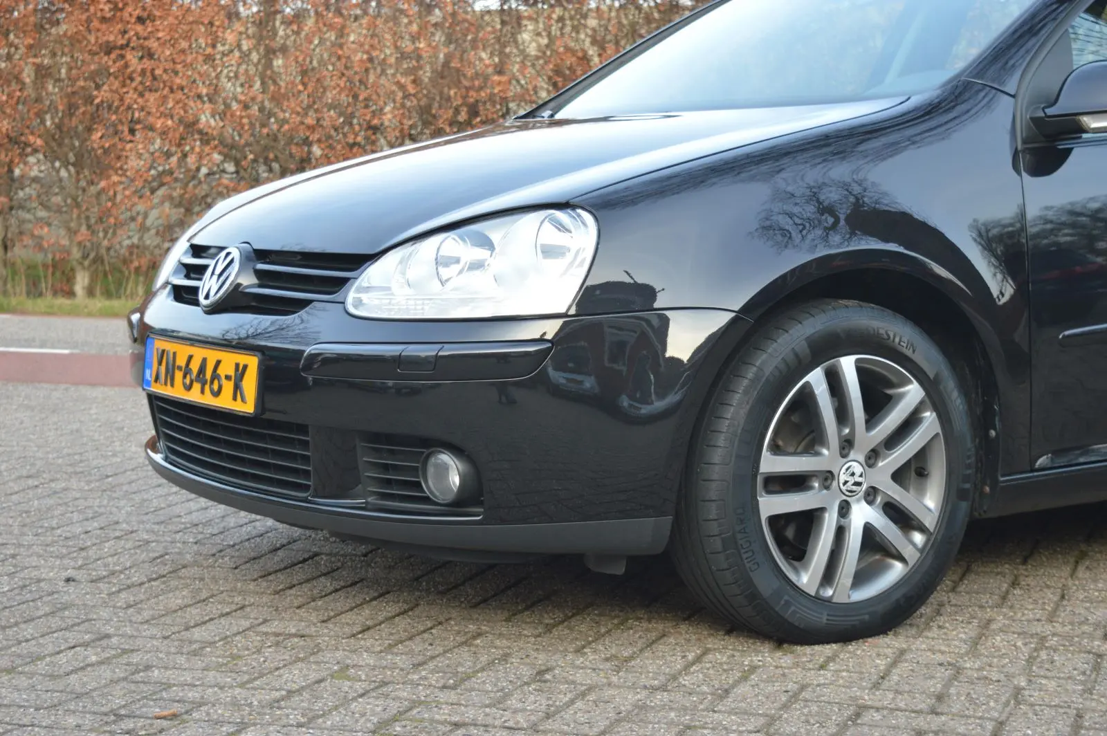 Volkswagen Golf Golf 1.9 TDI Trendline 6
