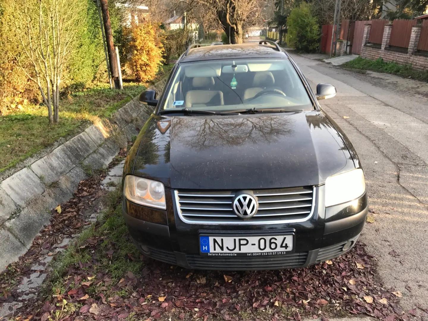 Volkswagen Passat Variant Passat Variant 1.9 TDI Trendline Business Tiptronic 6
