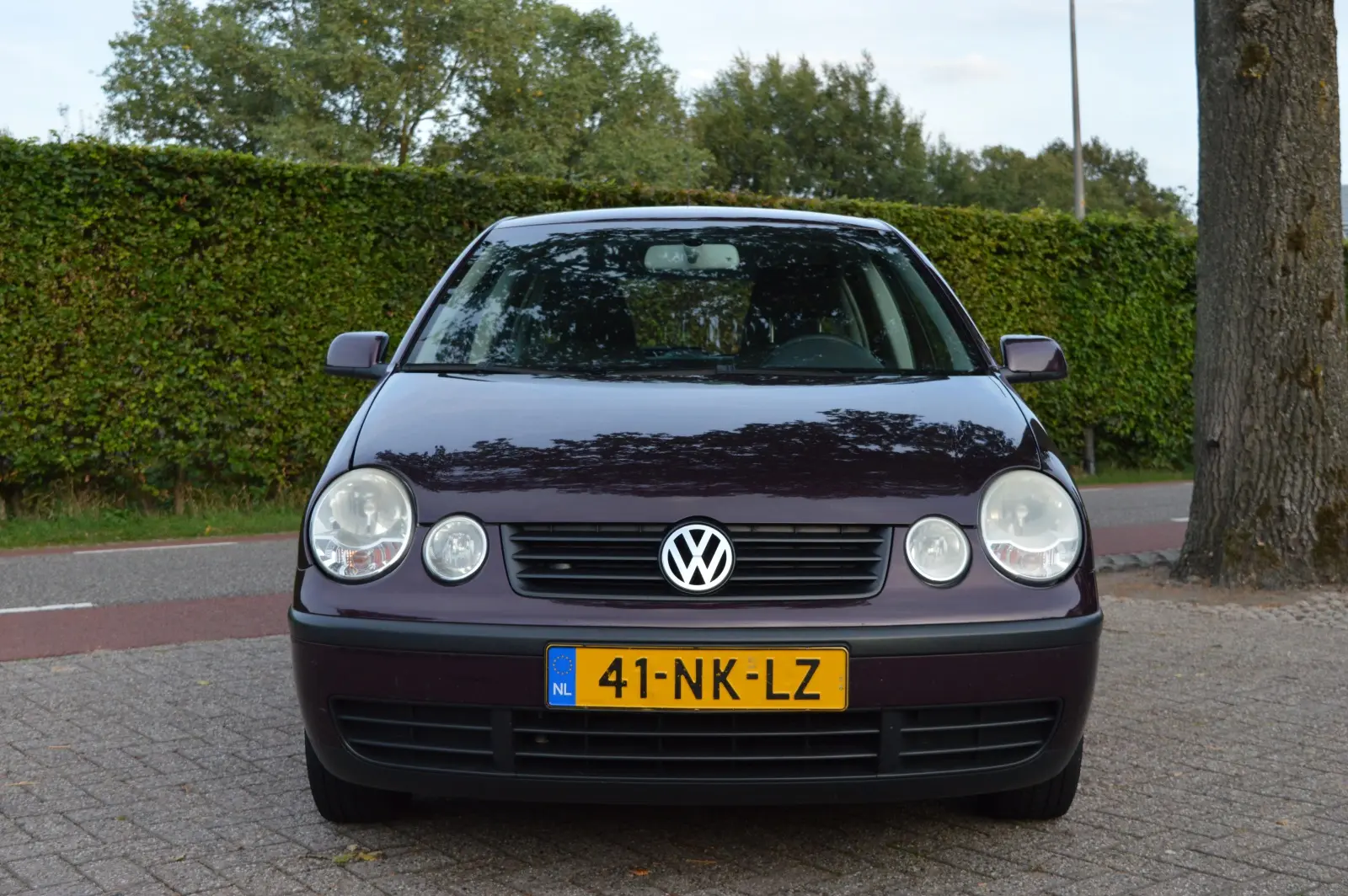 Volkswagen Polo Polo 1.4 16V Comfortline Ice 4